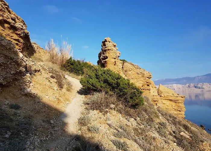 Penthouse Avangard *